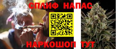 стафф Тара