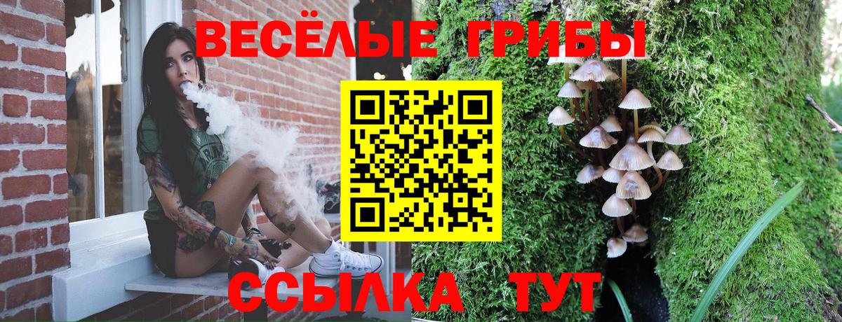 Галлюциногенные грибы MAGIC MUSHROOMS  Вход с VPN  Псилоцибиновые грибы мухоморы  Новочебоксарск 